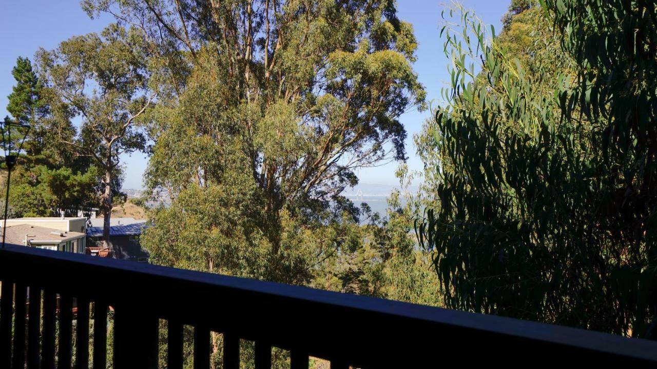 Willa @ Marbella Lane Eco Friendly Treehouse, Sfo Brisbane Zewnętrze zdjęcie
